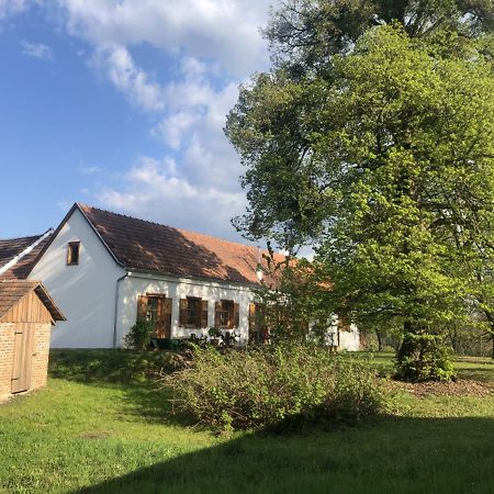 Sonnenhof Apartment Limbach im Burgenland Екстериор снимка