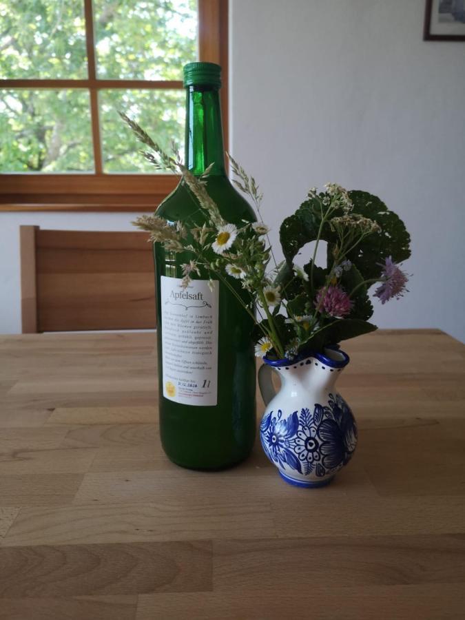 Sonnenhof Apartment Limbach im Burgenland Екстериор снимка