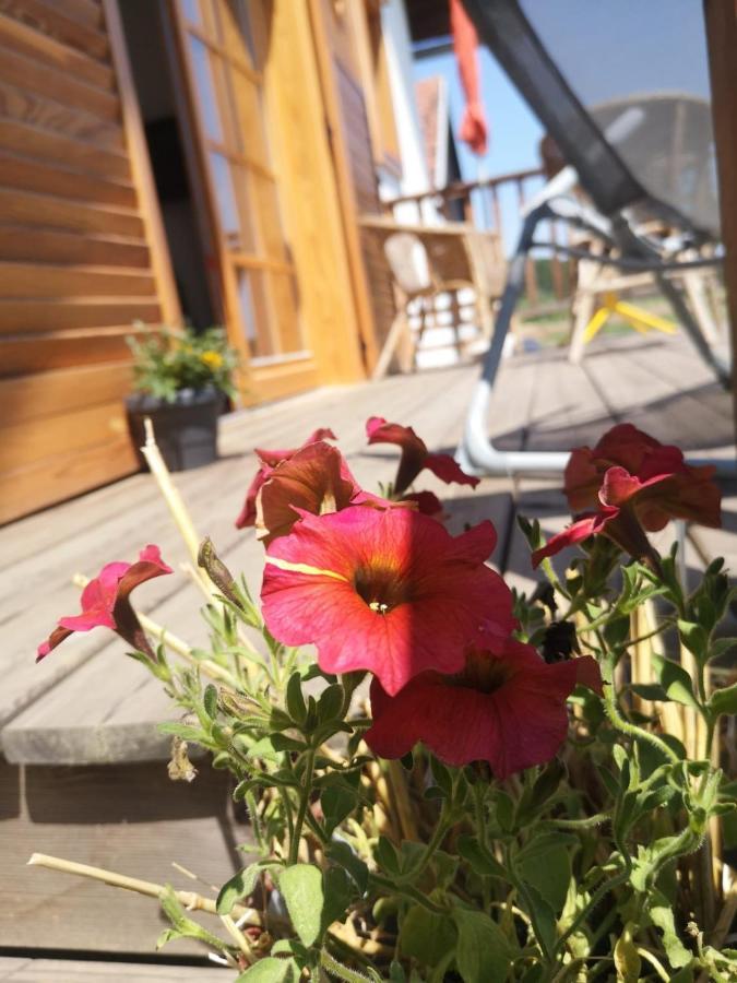 Sonnenhof Apartment Limbach im Burgenland Екстериор снимка