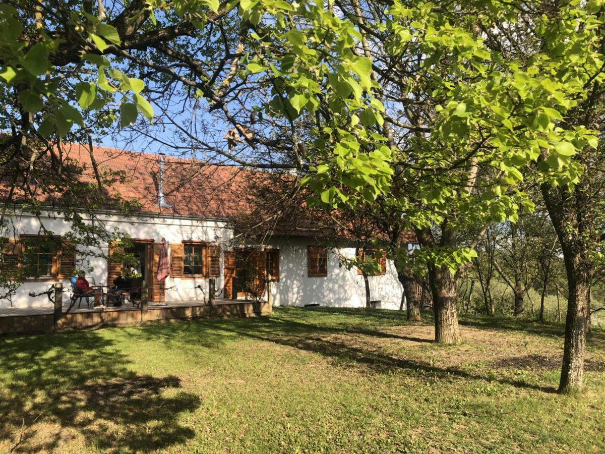 Sonnenhof Apartment Limbach im Burgenland Екстериор снимка