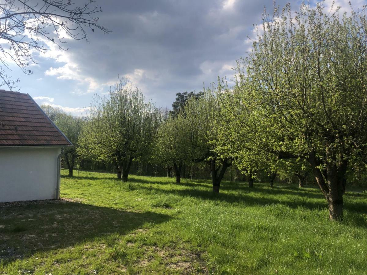 Sonnenhof Apartment Limbach im Burgenland Екстериор снимка
