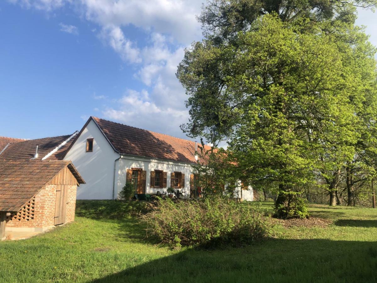 Sonnenhof Apartment Limbach im Burgenland Екстериор снимка