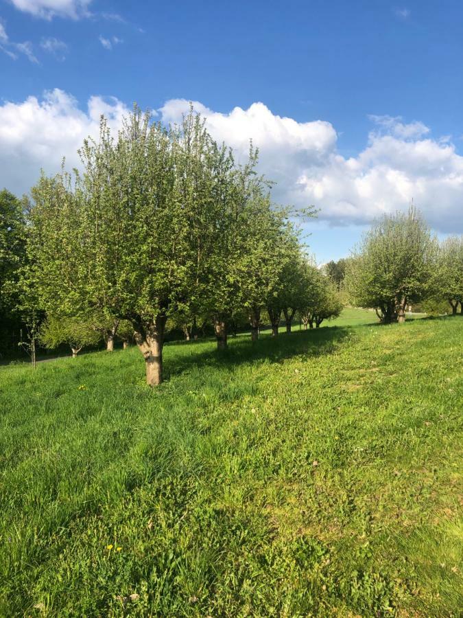 Sonnenhof Apartment Limbach im Burgenland Екстериор снимка