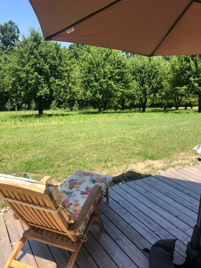 Sonnenhof Apartment Limbach im Burgenland Екстериор снимка