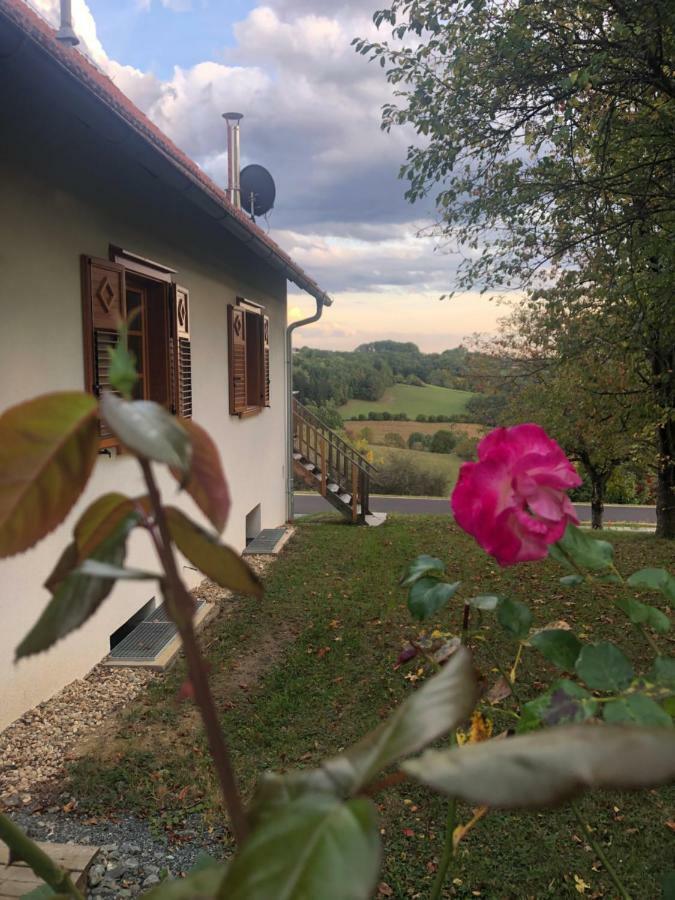 Sonnenhof Apartment Limbach im Burgenland Екстериор снимка